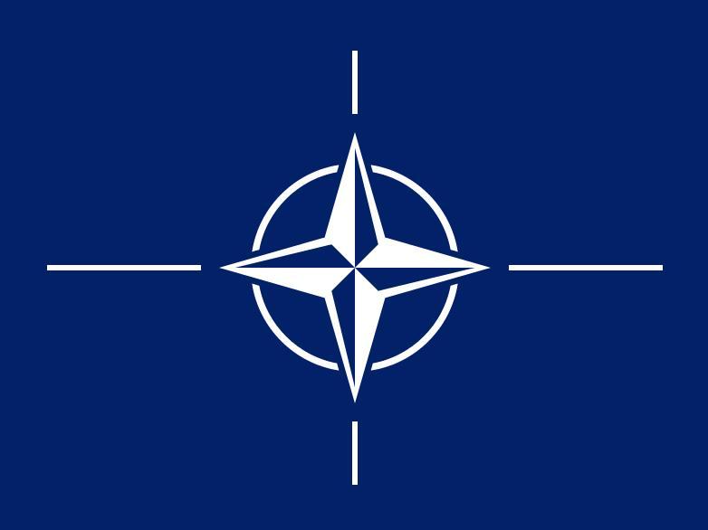 Zece ani de c&acirc;nd Rom&acirc;nia a aderat la NATO