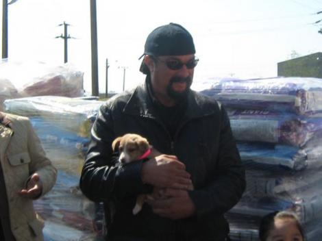 Steven Seagal a mai adoptat doi câini din România