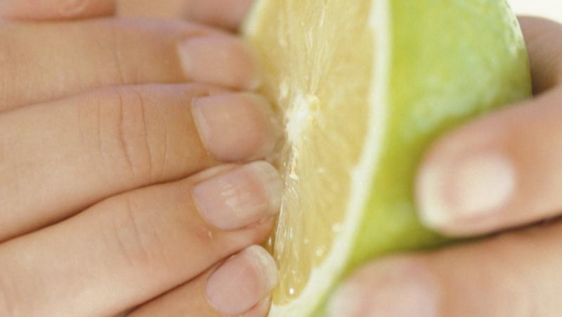 FUNNY, FUNNY, FUNNY: Reacția unui câine când mănâncă lămâie