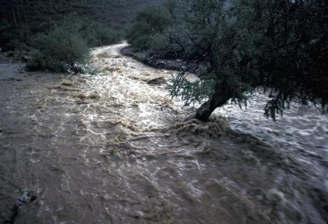 Inundațiile fac ravagii! Un sat din Brăila a fost măturat de ape