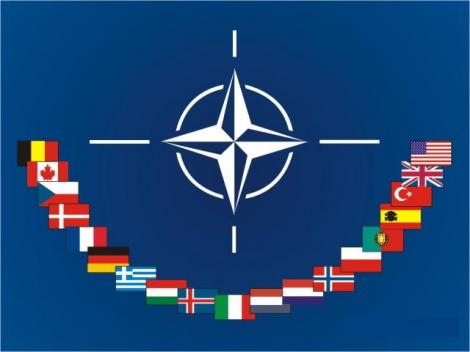 De râsul lumii! Parlamentarii nu cunosc sigla NATO