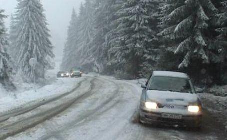Fulgi de nea pe post de flori de cireș. Ninge ca &icirc;n toiul iernii &icirc;n Rom&acirc;nia! Vezi AICI imagini LIVE!