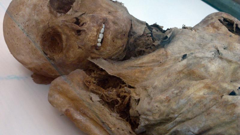 Sunt şocaţi! Ce au descoperit în craniul unei mumii