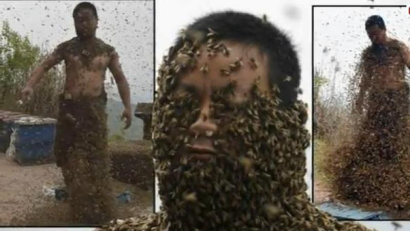 VIDEO! Un chinez s-a acoperit din cap până-n picioare cu 45 de kilograme de albine