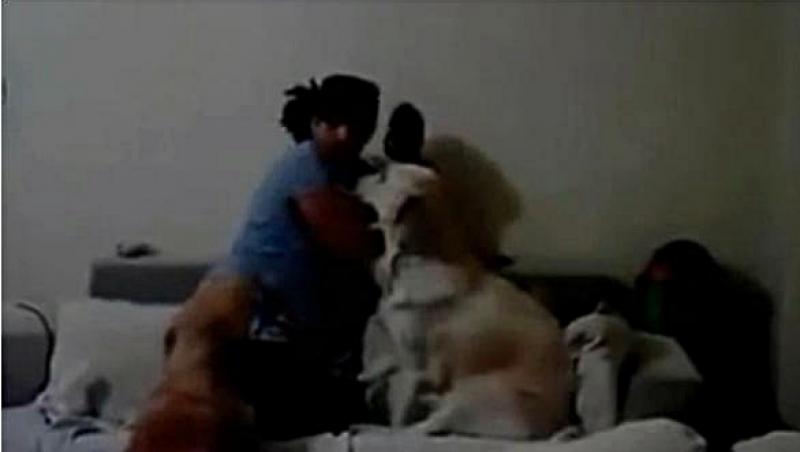 Aşa câine să tot ai: Uite cum îl apără pe un băieţel chiar de mama lui!
