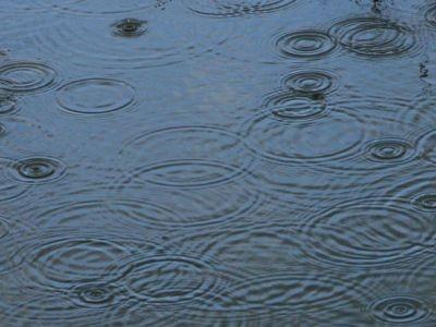 Vremea cu Flavia Mihășan: Primăvara se &icirc;ncăpăț&acirc;nează să fie capricioasă. Va ploua &icirc;n continuare!