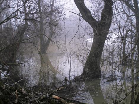 Primele victime ale PLOILOR? Două persoane dispărute pe râul Buzău