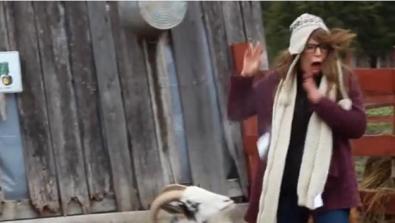 VIDEO! N-o să-ți vină să crezi cum a speriat-o această capră pe o tânără!