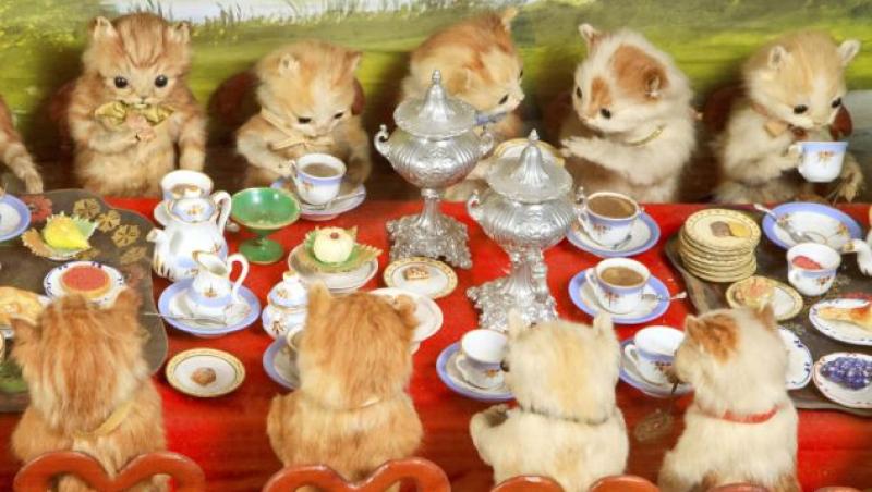 Simpatici sau înfricoșători? Bun venit în lumea în care pisicile beau ceai, iar iepurii croșetează!