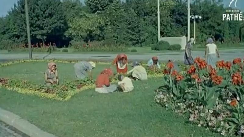 VIDEO de colecție! Curat și aerisit! Așa arăta Bucureștiul în anii '60