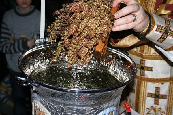 S-au calcat &icirc;n picioare pentru aghiasmă! Izvorul Tămăduirii nu i-a vindecat de &icirc;mbulzeală