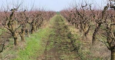 Livezi distruse de alunecări de teren &icirc;n comuna Bărbuleţu din D&acirc;mboviţa