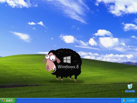 Windows 8, tot oaia neagră a Microsoft – utilizatorii Windows XP preferă Windows 7