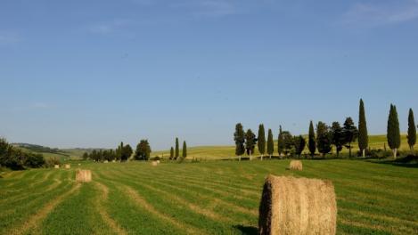 S-a descoperit în România şi poate revoluţiona întreaga istorie! "E veche de 5.000 de ani"