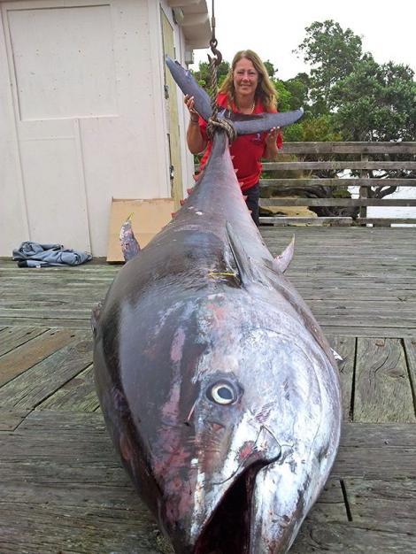 Captură RECORD realizată de o femeie! "Pescărița" a prins cel mai mare ton din lume: 411 de kilograme