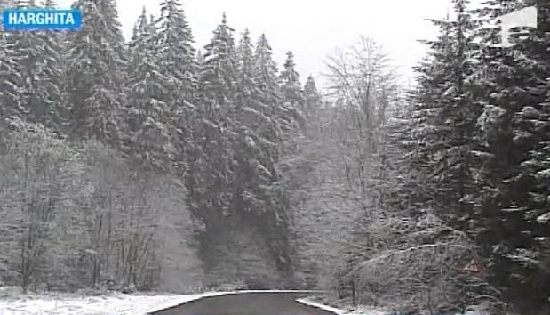 A nins! Iarna s-a &icirc;ntors &icirc;n Harghita și Suceava