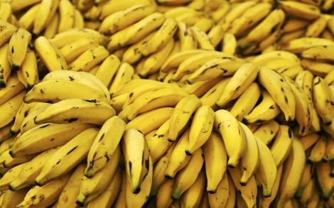 Criză de banane, în lume! O ciupercă face ravagii în recoltele din Asia și America Latină