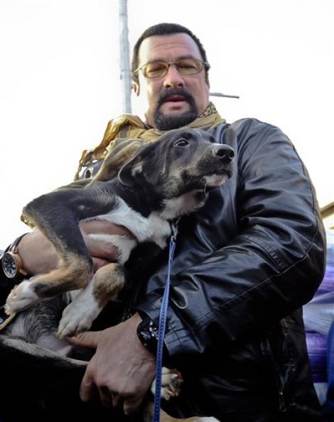 Câinii adoptaţi la distanţă de actorul Steven Seagal şi-au găsit stăpâni