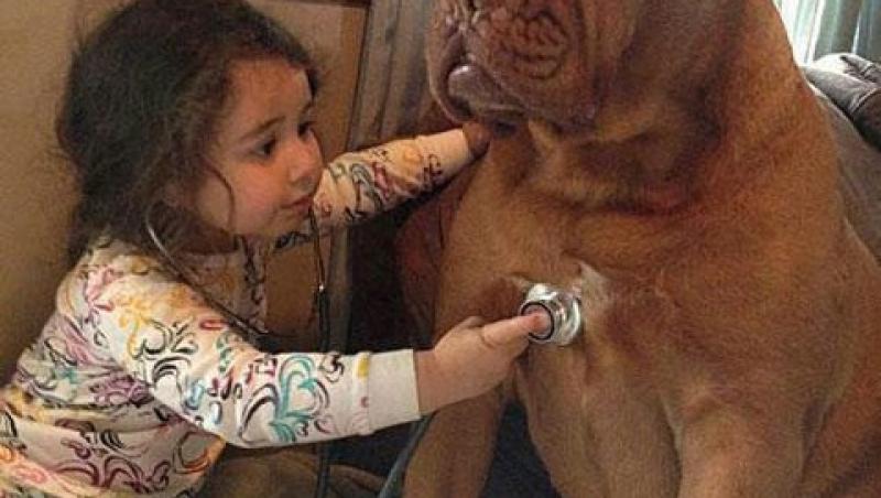 Galerie FOTO: Copiii şi câinii fac un cuplu de nădejde! Cele mai tari şi emoţionante imagini de pe internet