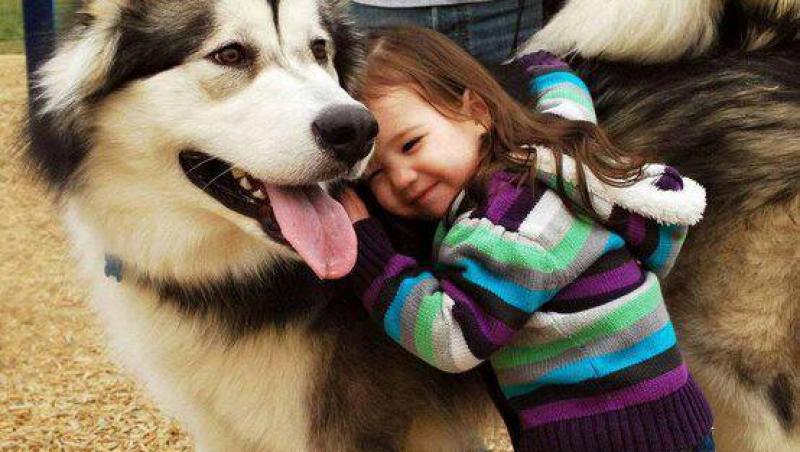 Galerie FOTO: Copiii şi câinii fac un cuplu de nădejde! Cele mai tari şi emoţionante imagini de pe internet