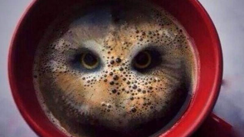 FOTO: Singura CAFEA pe care îți va fi FRICĂ s-o bei! Ce are atât de FIOROS