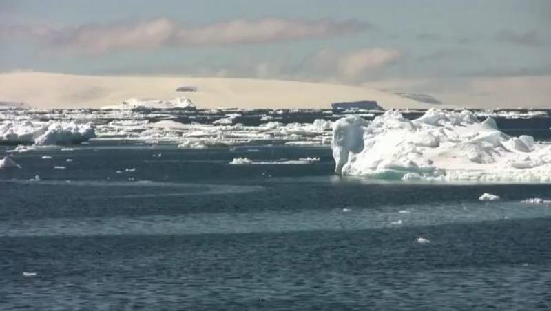 Ce au descoperit oamenii de ştiinţă australieni în Oceanul Antarctic