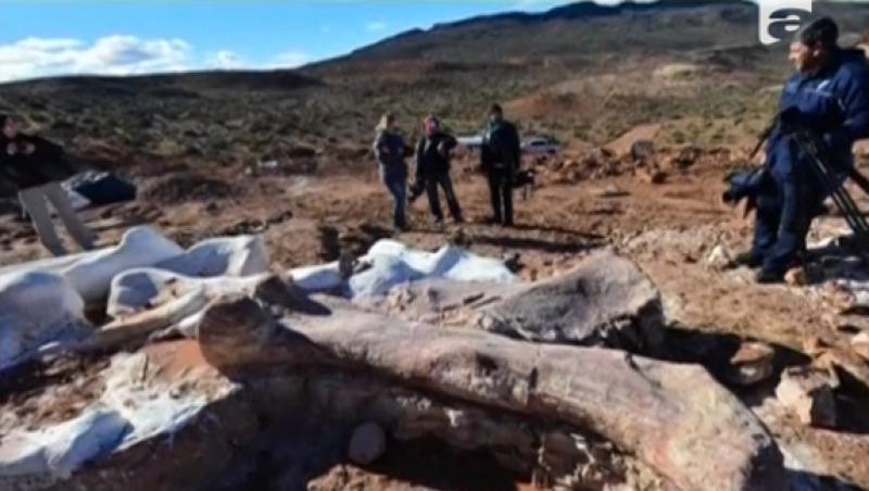 Descoperire INCREDIBILĂ! Fosile gigant, descoperite în Patagonia