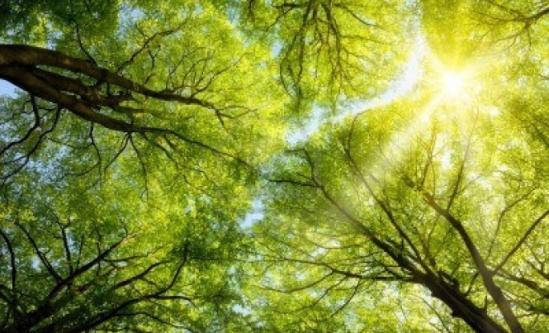 PROGNOZA METEO pe următoarele trei luni! Iată ce ne așteaptă &icirc;n mai, iunie și iulie