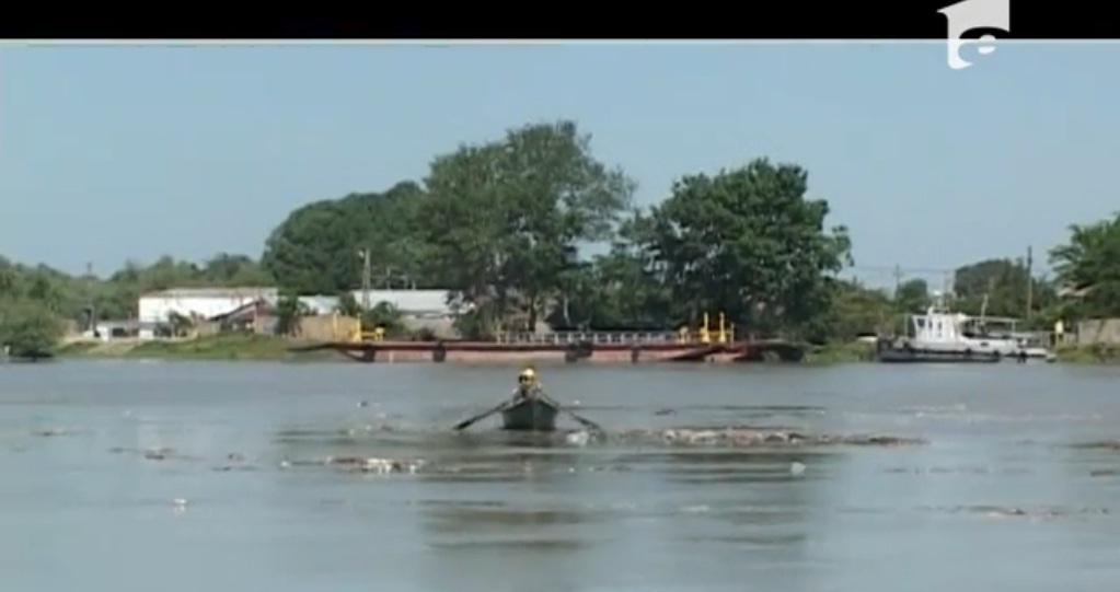 Apa trece, c&acirc;rciuma răm&acirc;ne: Tulcenii sunt indiferenți la pericolul de pe Dunăre!