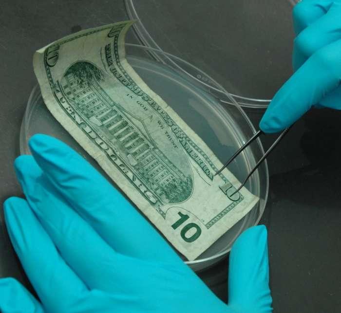 Ce au găsit cercetătorii pe BANII pe care &icirc;i folosim &icirc;n fiecare zi: "A fost ŞOCANT să vedem asta"