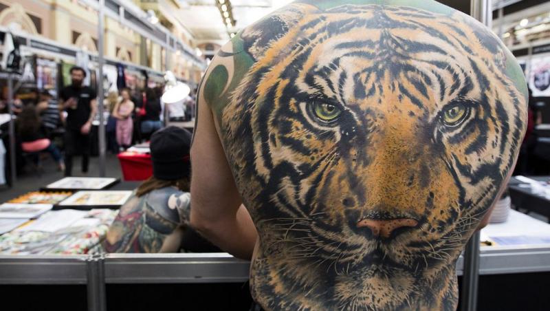 Tatuaj tigru