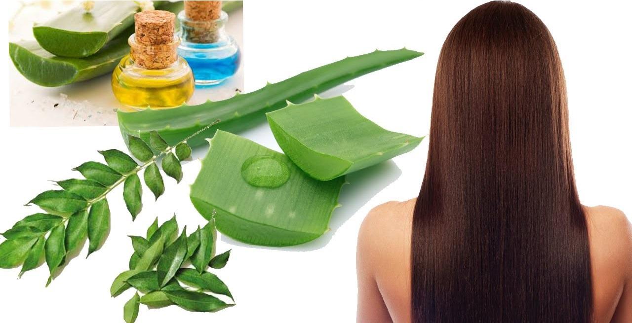 10 plante ce &icirc;ți vor face părul să crească