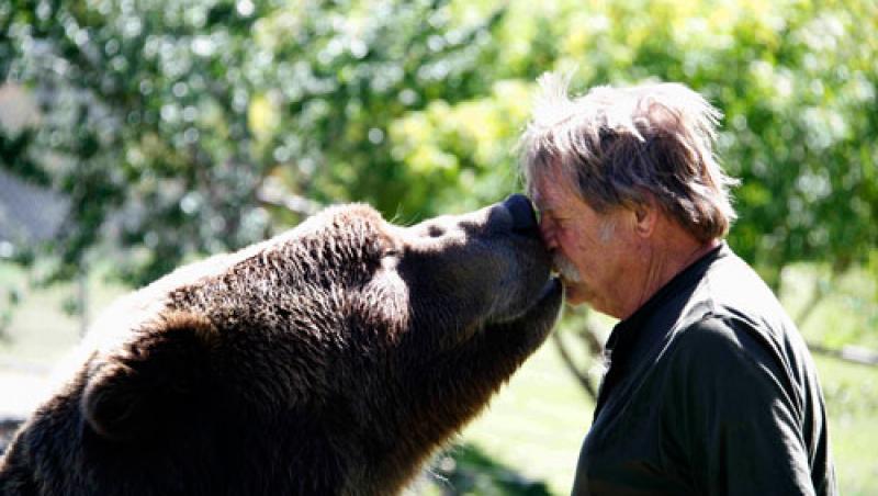 Nu se poate aşa ceva! Un urs Grizzly de 500 de kilograme se poartă ca un căţeluş şi îşi linge stăpânul