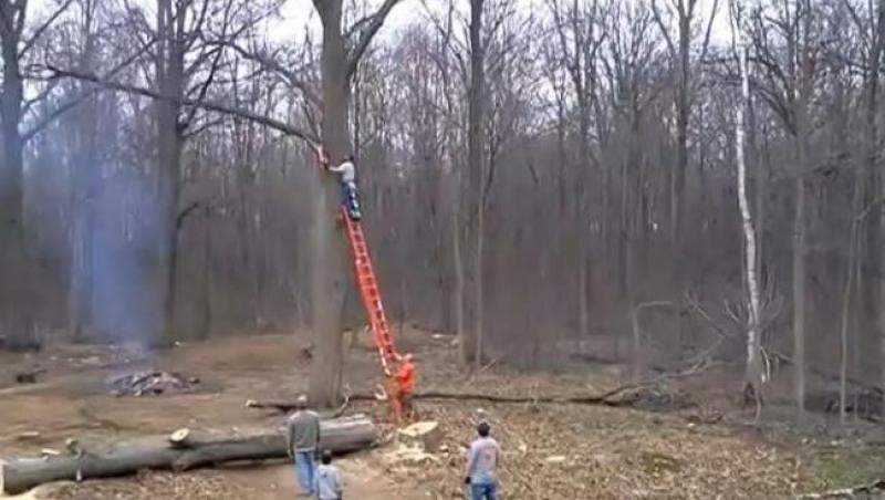 Răzbunarea naturii! Ce i se întâmplă unui bărbat care taie cu drujba creanga unui copac din pădure (VIDEO)