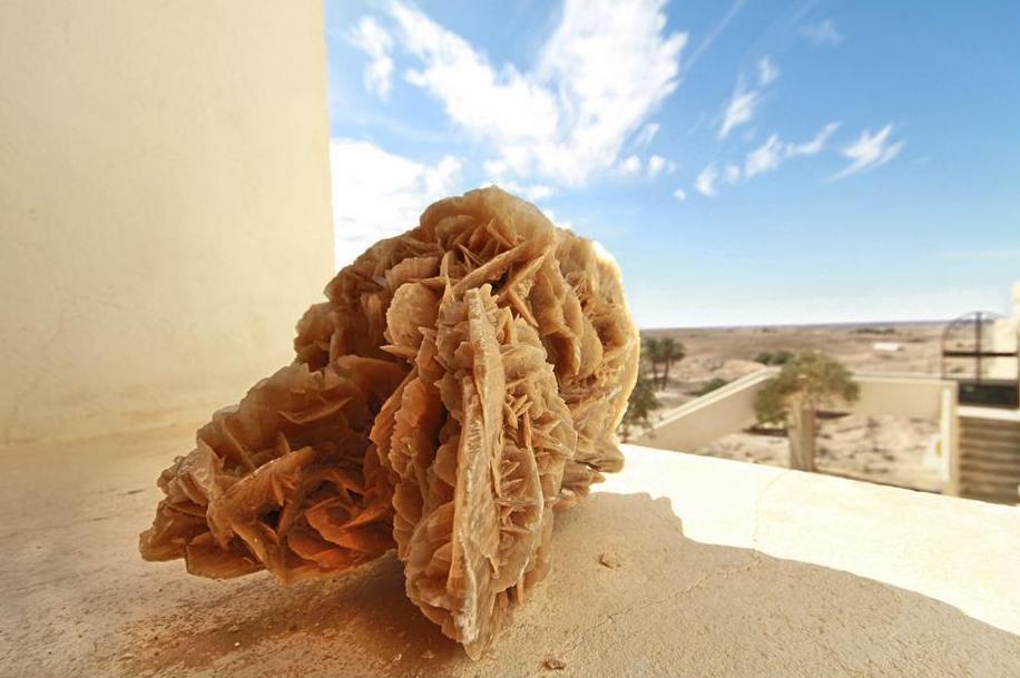 Descopera minunatii roses de sable!