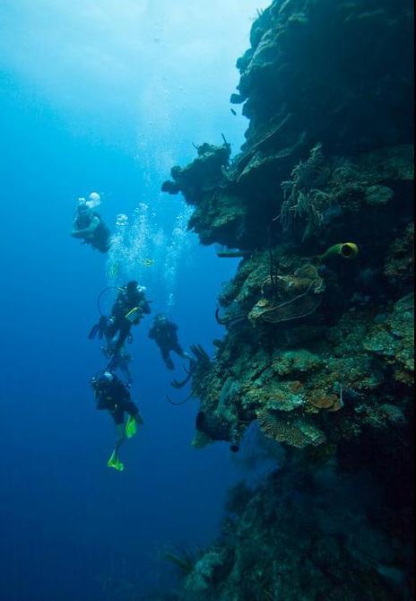 Malta, paradisul inotatorilor!