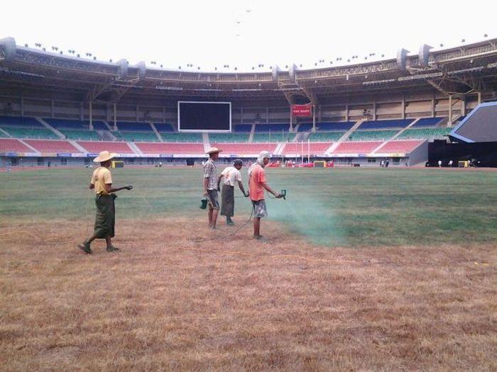 DE RÂSUL CURCILOR! Uite de ce au asiaticii cel mai VERDE gazon pe stadioane