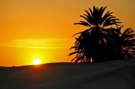 Tunisia ,,oaza de mari”