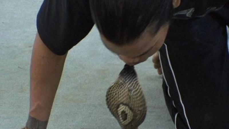 Un thailandez sărută un şarpe cobra