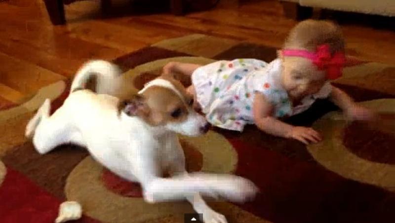 VIDEO de milioane! Un bebeluș învață să facă primii pași de la un câine