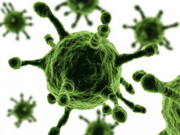 Ebola, CEL MAI LETAL VIRUS a scăpat de sub control!