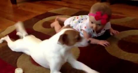 Video SAVUROS! Un câine învaţă o fetiţă să meargă