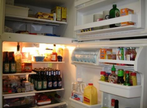 VIDEO: Le dispărea mâncarea din frigider, în fiecare seară! S-au ÎNGROZIT când au aflat cine era hoţul!