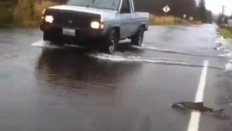 Somonii traversează strada