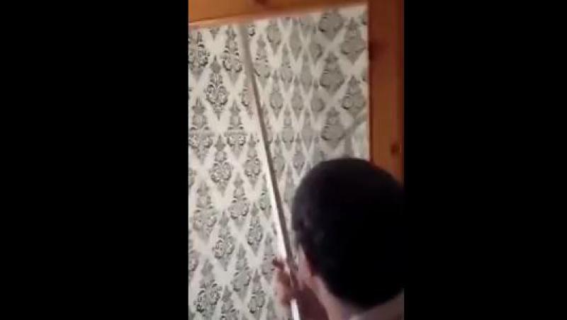 VIDEO! Aşa omoară un păianjen un bărbat care suferă de arahnofobie