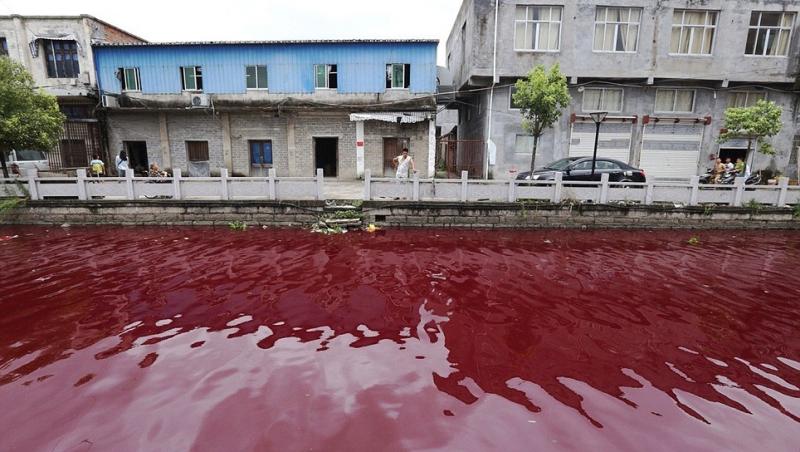 Un râu din China s-a transformat, în câteva minute, într-o "baltă de sânge"