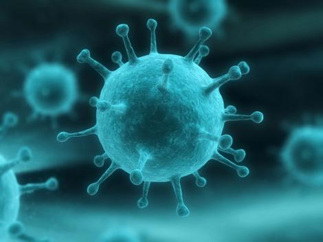 Virusul EBOLA se răspândeşte rapid! A făcut victime în SUA