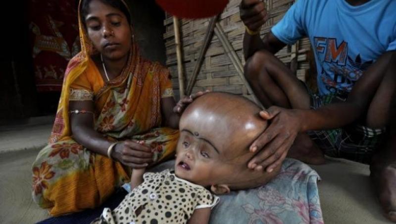 Se chinuie să trăiască! 