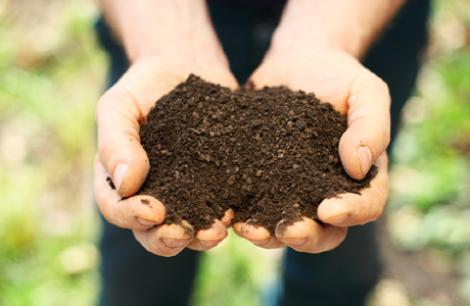 Grădinarii şi agricultorii trebuie să facă testul solului