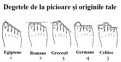 Ce spun degetele de la picioare despre originile tale